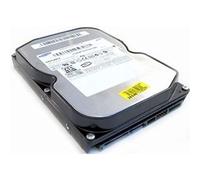 Disque dur interne SATA II SP2004C 200 Go