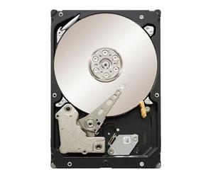 Disque dur interne Seagate Constellation ES SATA 3 Gb/s 1 To (ST31000524NS)