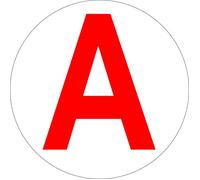 DISQUE ELECTROSTATIQUE ""A"" JEUNE CONDUCTEUR