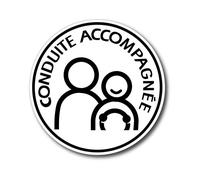 Disque électrostatique CONDUITE ACCOMPAGNEE