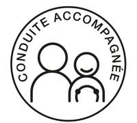 DISQUE ELECTROSTATIQUE ""CONDUITE ACCOMPAGNEE""