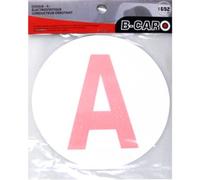 Disque électrostatique '' jeune conducteur