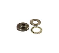 Disque En Nutation Moteur 10°24' pour NETTOYEUR HAUTE-PRESSION - 90017050