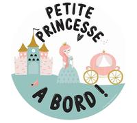 Disque magnétique Bébé à bord 15 cm couleur motif princesse - Color Pop - France