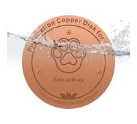 Disque Nettoyant Pour Bain D'Oiseaux Plateau Purificateur Fontaine À Eau