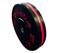 Disque olympique training 25 kg x1