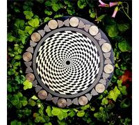 Disque oscillateur multi-ondes pour méditation, énergie de l'eau et équilibrage harmonique