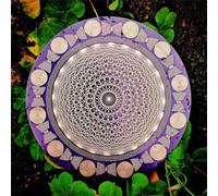 Disque polarisant de méditation spirituelle avec équilibrage harmonique et énergisation de l'eau, pièce de décoration d'intérieur polyvalente for le soin des cristaux et l'ajustement