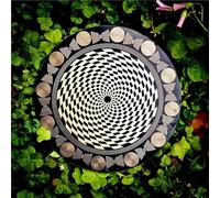 Disque Polarisant MWO, Bobine Multi-oscillateur, Diamètre 12,8 Cm, Énergisation De L'eau, Équilibrage Harmonique, For La Méditation Du Yoga, Nettoyage Des Cristaux, Recharge(Mouse)