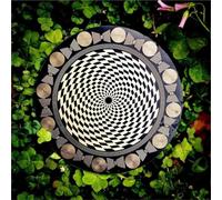 Disque polarisant oscillateur multi-ondes avec équilibrage harmonique et énergisation de l'eau, outil de méditation d'équilibrage des chakras, for cadeau des amateurs de cristal Reiki.(Black)