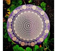 Disque polarisant oscillateur multi-ondes avec équilibrage harmonique et énergisation de l'eau, outil de méditation d'équilibrage des chakras, for cadeau des amateurs de cristal Reiki.(Purple)