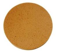 Disque Pour Talocheuse Te-400 : Eponge G