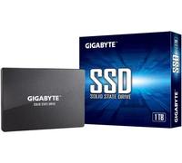 Gigabyte GP-GSTFS31100TNTD