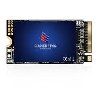 GAMERKING Disque SSD 512 Go M.2 2242 NVMe M Key PCIe Gen3x4 22 mm x 42 mm 3D NAND TLC interne haute performance pour Ultrabook, ordinateur portable, PC