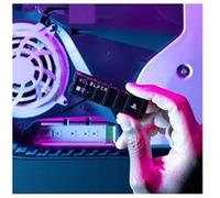 WDBBYV0010BNC - WD_BLACK SN850P NVME-SSD, PS5, 1 TO, M.2