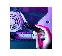 Disque SSD Interne WD_BLACK SN850P avec dissipateur pour PS5 2 To Noir