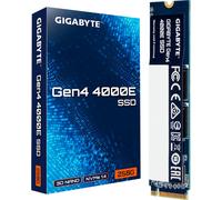 Disque SSD M.2 Gen4 4000E 250 Go (PCIe Gen 4.0 x4/NVMe 1.4)