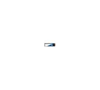 Disque SSD SATA WD Blue 3D NAND WDS250G2B0B - SSD - 250 Go - interne - M.2 2280 - SATA 6Gb/s