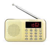 Disque USB Carte TF Affichage numérique Radio FM AM Haut-parleur audio AUX Lecteur MP3