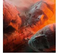 Disque vinyle - Muse - Will of the People - Platine - Noir - 33 tours - Entièrement manuel