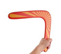 Disque Volant En Forme De V Pour Enfant, Jouet Interactif, Amusant, Pour L'extérieur, Idée Cadeau