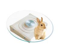 Disque volant pour hamsters - Roue pour exercices silencieux, Spinner Fitness pour petits animaux, Cage jouet avec coussinets en métal, accessoire pour activités saines, plate-forme de course