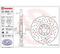 DISQUES DE FREIN XTRA BREMBO - 09.A829.1X