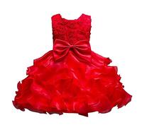 DISSA Robe Fille sans Manches Tulle Brodée Florale Princesse,3-10 Ans | broderie florale détaillée,grand nœud dos,fermeture cachée,jupe évasée complète,mariage,banquet,célébration