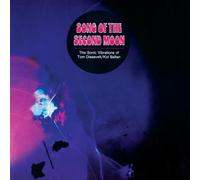 Dissevelt,Tom & Kid Baltan - Song of the Second Moon