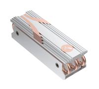Dissipateur thermique Rocket SSD SABRENT M.2 2280 en argent (SB-HTSS)