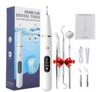 Dissolvant De Tartre Dentaire Ultra Sonique Électrique,Dissolvant De Tartre Dentaire Ultra Sonique,Élimination De La Plaque,Détartreur Dentaire,Éliminateur De Tartre - Type White Kit