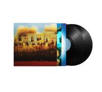 Distance In Static Vinyle