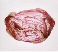 Distant Sounds of Summer by Susumu Yokota