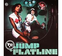 Distorted Minds - Jump / Flatline