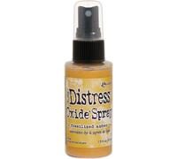 Distress Oxide Spray - RANGER - Ambre pétrifié