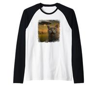 Distressed British Shorthair Cat UFO Selfie Invasion Alien Manche Raglan