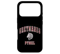 Distressed Greymanes Crimson Desert Pywel Funny Design Coque pour iPhone 17 Pro