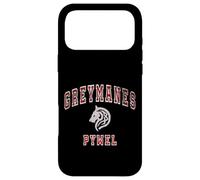 Distressed Greymanes Crimson Desert Pywel Funny Design Coque pour iPhone 17 Pro Max