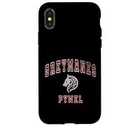 Distressed Greymanes Crimson Desert Pywel Funny Design Coque pour iPhone X/XS