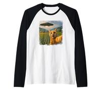 Distressed Orange Tabby Cat UFO Selfie with Invasion Alien Manche Raglan