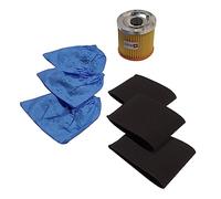 Distri+ - 1 Filtre Cartouche 3 Filtres Mousse Compatible (Alternative pour réf d'origine 45120275) + 3 Pochettes filtrantes po