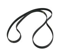 Distri+ - Courroie d'entrainement 1151J7 / 1151H7 pour machine à laver Brandt, Fagor, Thomson, Bosch, compatible avec Siemens, Aya,