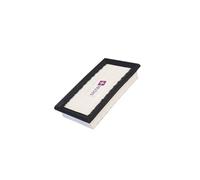 Distri+ - Filtre plissé plat compatible avec aspirateur Nilfisk WD200, WD215, WD225, WD245, 1407215000