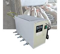 Distributeur automatique de lait de porcelet, machine d'allaitement à température constante avec son pour une alimentation facile, 10 tétines pour une traite et un entretien efficaces