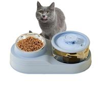 Distributeur automatique de nourriture pour chat, alimentation en eau pour animaux de compagnie, 2 en 1 | Distributeur automatique de nourriture pour chat d'intérieur et distributeur d'eau de grande