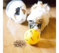 Distributeur de nourriture pour animaux de compagnie Lapin éducatif Alimentation lente Puzzle Cochon Snack (Bleu, Taille unique)