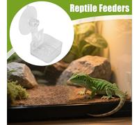 Distributeur de Nourriture pour Caméléons | Distributeur à Ventouse pour Petits Reptiles | Bac d'alimentation et Abreuvement Facile à Nettoyer pour Intérieur, Jardin, Balcon et Animaux Domestiques