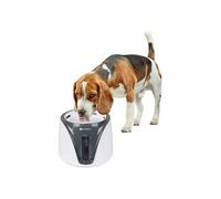 Fontaine À Eau Sensor Adriana Gris