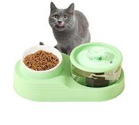 Distributeur d'eau pour Animaux de Compagnie | Station d'alimentation pour Chat | Design Silencieux, Support Cervical inclinable, Fournitures d'alimentation et d'arrosage pour Le sevrage du