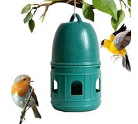 Distributeur d'eau pour pigeons, distributeur d'eau automatique, mangeoire à oiseaux, poignée supérieure, large ouverture, fournitures pour animaux de compagnie pour perruches, cailles, poules